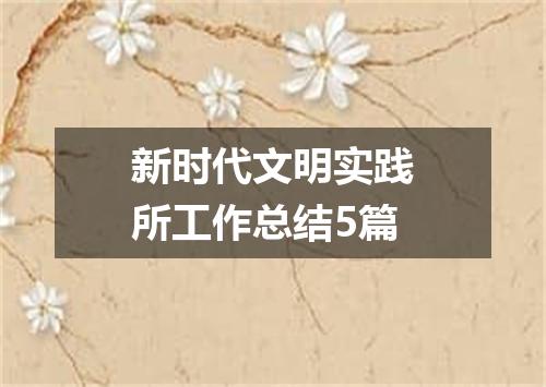 新时代文明实践所工作总结5篇