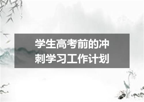学生高考前的冲刺学习工作计划