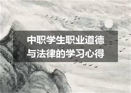 中职学生职业道德与法律的学习心得