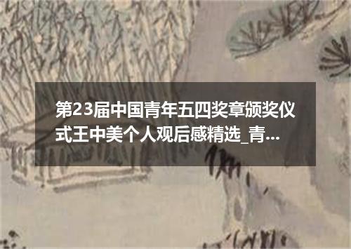 第23届中国青年五四奖章颁奖仪式王中美个人观后感精选_青年五四奖章先进事迹