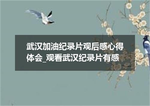 武汉加油纪录片观后感心得体会_观看武汉纪录片有感
