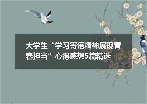 大学生“学习寄语精神展现青春担当”心得感想5篇精选