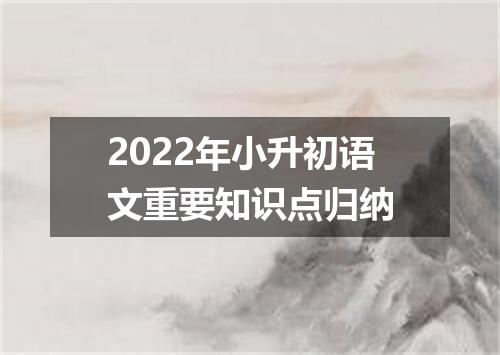 2022年小升初语文重要知识点归纳