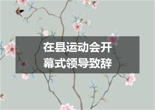 在县运动会开幕式领导致辞