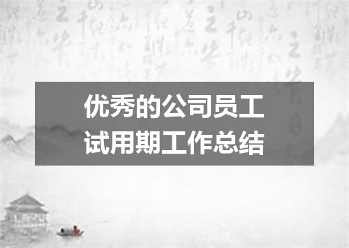 优秀的公司员工试用期工作总结