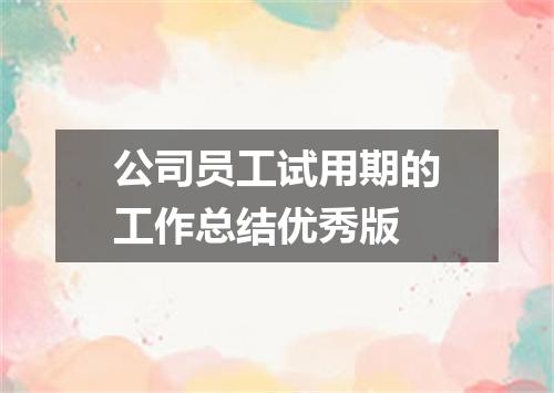 公司员工试用期的工作总结优秀版