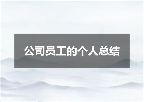 公司员工的个人总结
