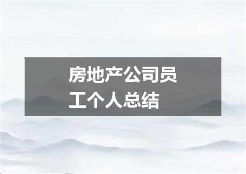 房地产公司员工个人总结