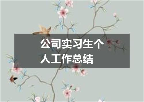 公司实习生个人工作总结