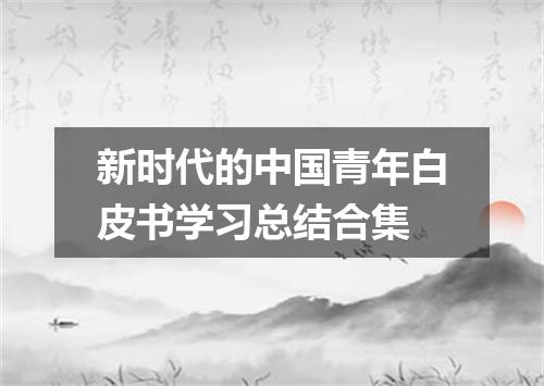 新时代的中国青年白皮书学习总结合集