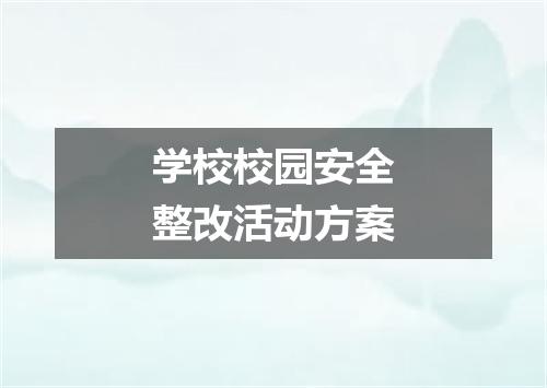 学校校园安全整改活动方案