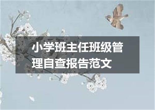 小学班主任班级管理自查报告范文