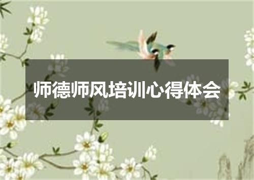 师德师风培训心得体会