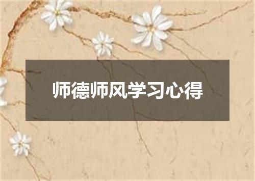 师德师风学习心得