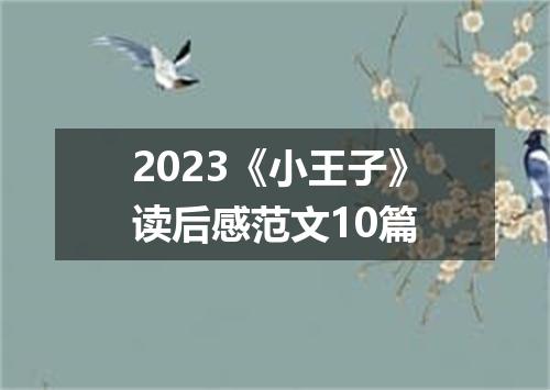 2023《小王子》读后感范文10篇