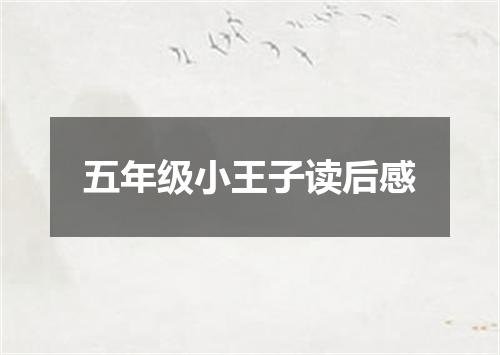 五年级小王子读后感