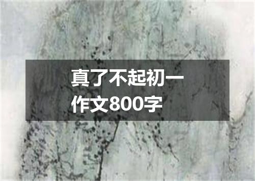 真了不起初一作文800字