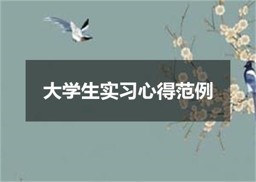 大学生实习心得范例