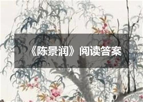 《陈景润》阅读答案