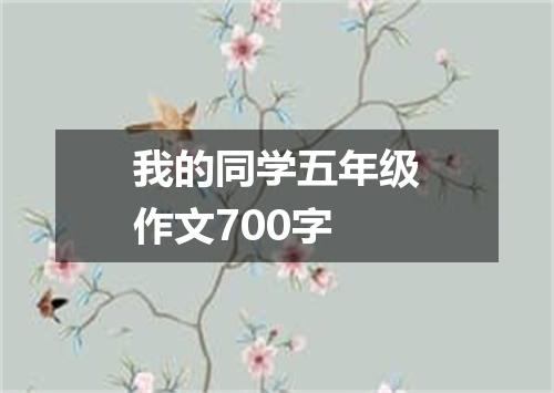 我的同学五年级作文700字