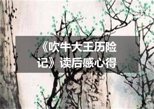 《吹牛大王历险记》读后感心得