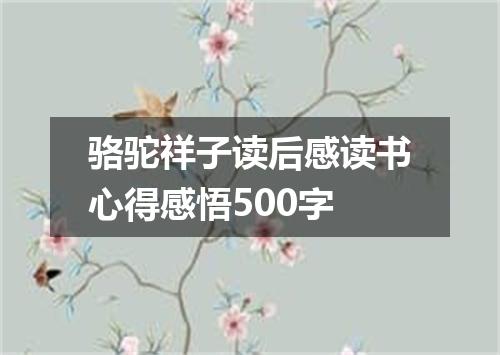 骆驼祥子读后感读书心得感悟500字