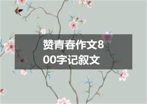 赞青春作文800字记叙文