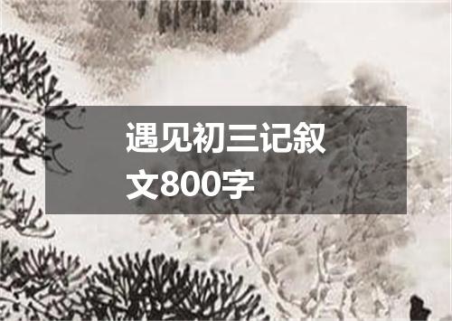 遇见初三记叙文800字