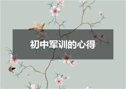 初中军训的心得