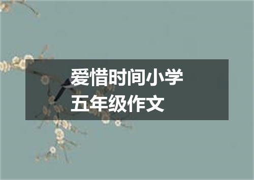 爱惜时间小学五年级作文