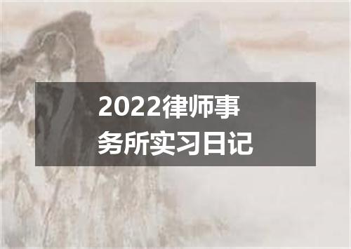 2022律师事务所实习日记