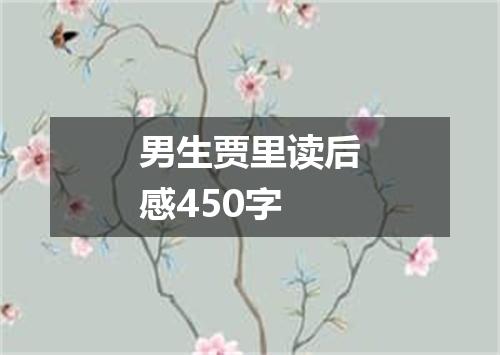 男生贾里读后感450字