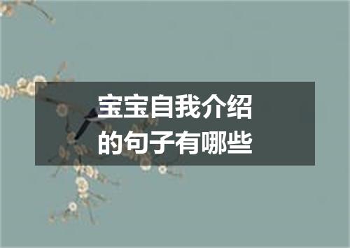 宝宝自我介绍的句子有哪些