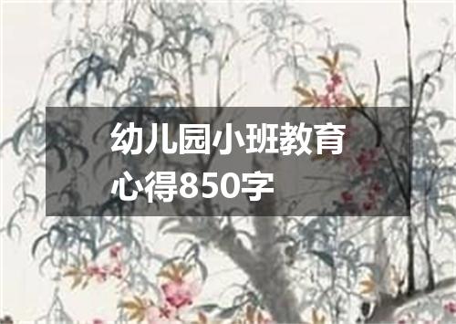 幼儿园小班教育心得850字