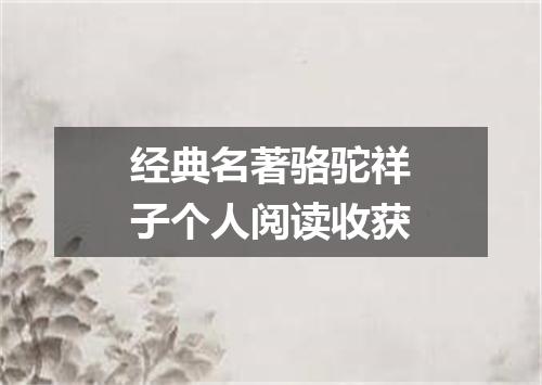 经典名著骆驼祥子个人阅读收获