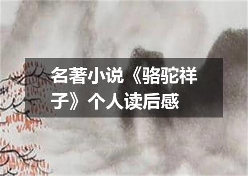 名著小说《骆驼祥子》个人读后感