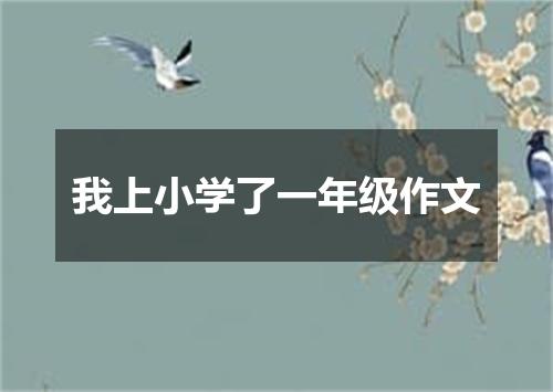 我上小学了一年级作文