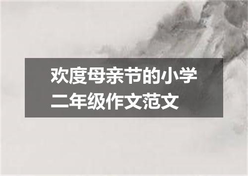 欢度母亲节的小学二年级作文范文
