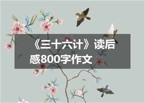 《三十六计》读后感800字作文