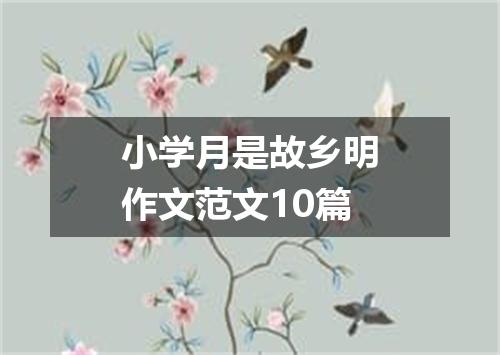 小学月是故乡明作文范文10篇