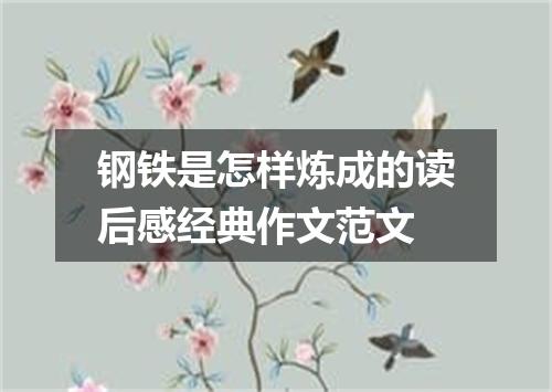 钢铁是怎样炼成的读后感经典作文范文