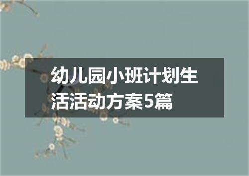 幼儿园小班计划生活活动方案5篇