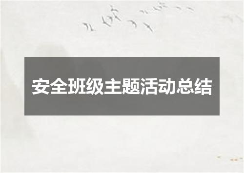 安全班级主题活动总结