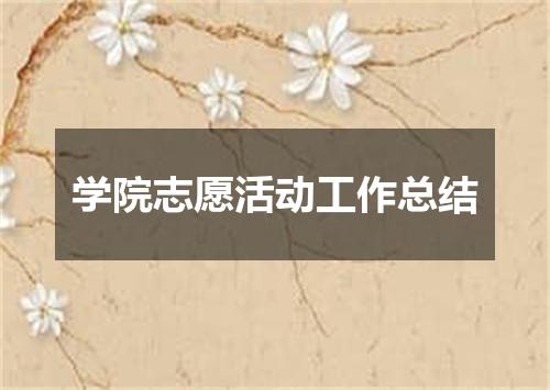 学院志愿活动工作总结