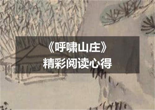 《呼啸山庄》精彩阅读心得