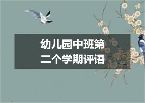 幼儿园中班第二个学期评语