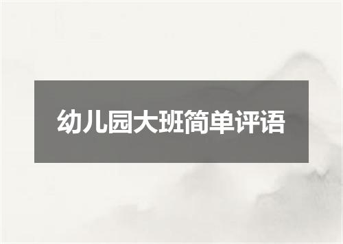 幼儿园大班简单评语
