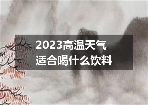2023高温天气适合喝什么饮料