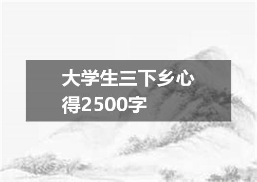 大学生三下乡心得2500字