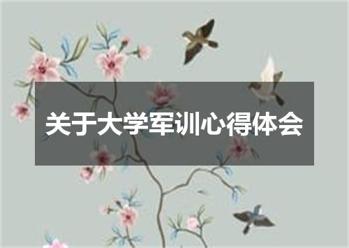 关于大学军训心得体会